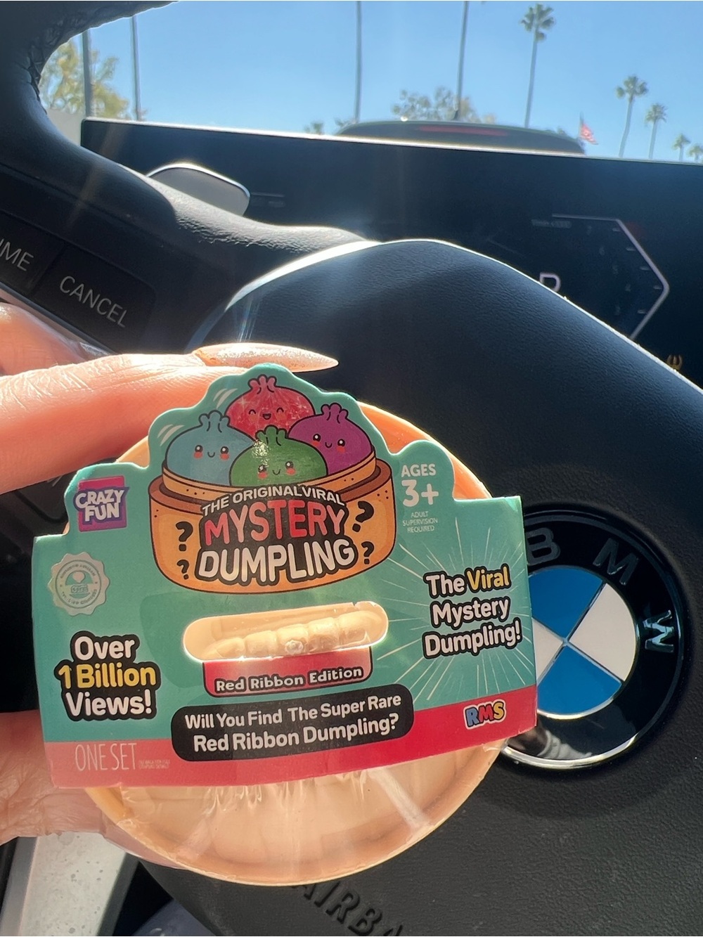 🥟🎀 Viral Mystery Dumpling — Red Ribbon Edition